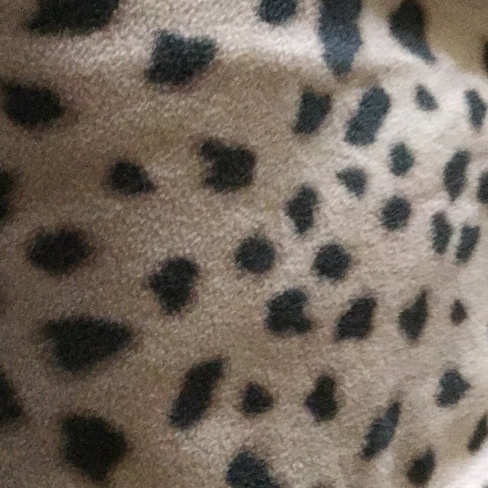 Fleece - Picture 2 of 2